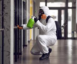 Trusted Fitchburg, MA Mold Removal & Remediation Experts